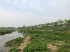 -洨河生态公园