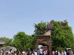 -大槐树寻根祭祖园