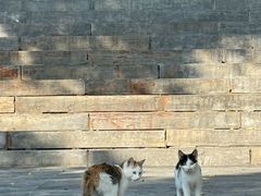 -华阳洞风景区