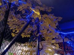 -特色酱椒鱼私房菜(黄鹤楼店)