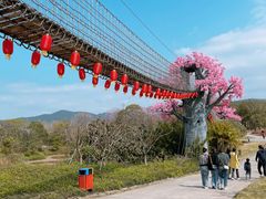 -天适樱花悠乐园