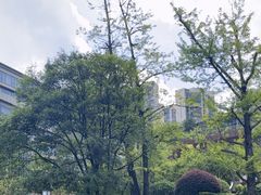 -贵阳中天凯悦酒店