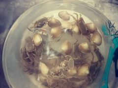 -南汇新城海滩