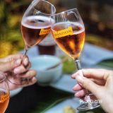 一坐一忘忆云南，夏桐美酒🍷惹人爱，岂止是微醺