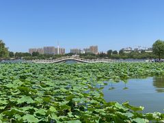 -济南大明湖景区