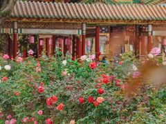 -宝墨园景区