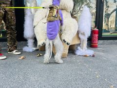 -Carmen卡门西班牙餐厅