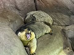 -苏州海洋馆