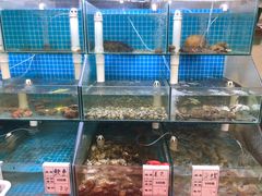 水产区-海之味海鲜大咖·家常菜