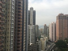 -香港大学