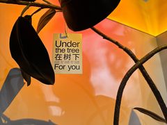 -干杯小木屋米酒店(罗斯福店)