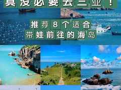 -枸杞岛