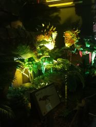 -恐龙探索乐园(磁器口店)