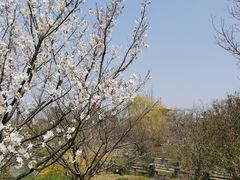 -广富林郊野公园