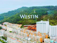 -厦门威斯汀酒店