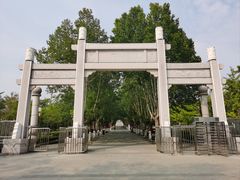 -白佛山景区
