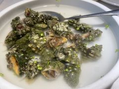 -开海·红岛海鲜虾水饺(石老人店)