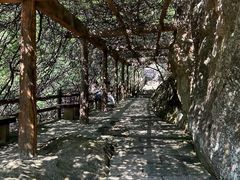 -雁荡山三折瀑景区