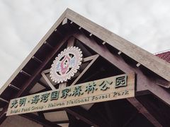 -上海海湾国家森林公园