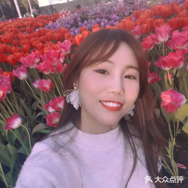 🌷园博苑•荷兰园郁金香•异域风情🌷