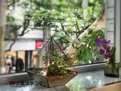 大堂-蝶舍·MAISON PAPILLON