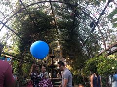 -The Grounds of Alexandria