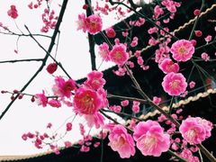 -广富林郊野公园
