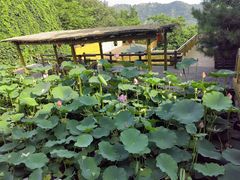 -天津盘山风景名胜区