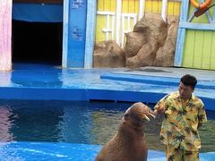 -华夏文旅海洋公园