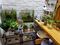 -向日葵十五度餐厅(昌平区店)