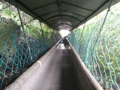 -洛阳白云山景区