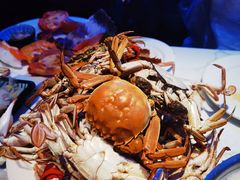 -半岛听涛蒸汽海鲜自助(K11店)