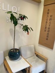 -可樱汇·美容洗发SPA