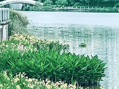 -南宁南湖公园