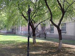 -辽宁大学(崇山校区)