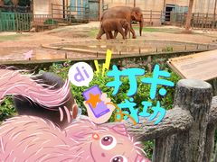 -昆明动物园