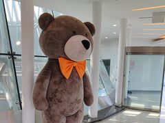 -济州岛泰迪熊博物馆