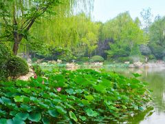 -华清宫景区