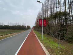 -上海长兴岛郊野公园