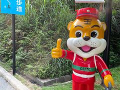 -广州市帽峰山景区