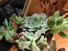 -湘与香缘·湖南菜(王府井北京市百货大楼店)