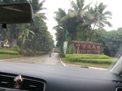 -呀诺达热带雨林