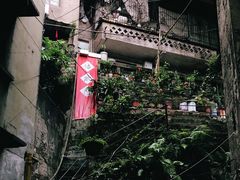 -悟饮门市景店