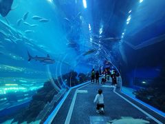 -成都浩海立方海洋公园