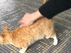 -菁桐火车站