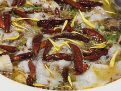 -太二酸菜鱼(石家庄万象城店)