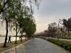 -象湖生态湿地公园