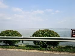 -水八仙生态园
