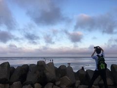 -南汇嘴观海公园