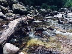 -陕西省红河谷森林公园